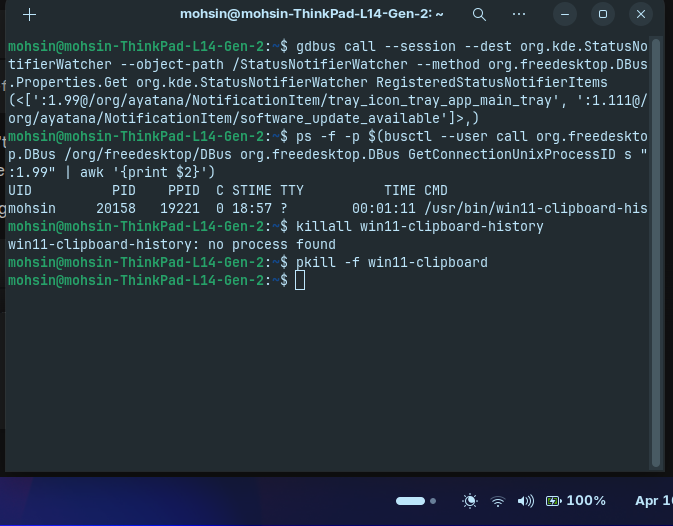 Terminal output identifying the Win11 clipboard process behind the broken tray icon